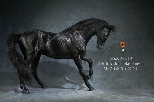 Mrz048 6 akhal teke - mrz048-5, akhal-teke