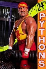 WWE GIANT 24”x36” POSTER -