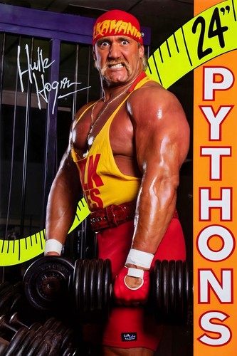 Wwe giant x36 poster - giant,