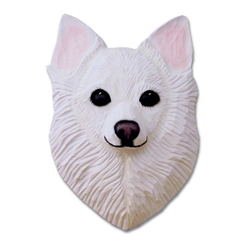 Placca testa chihuahua - a,