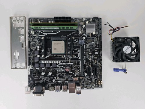 Pacchetto scheda madre asus - scheda,