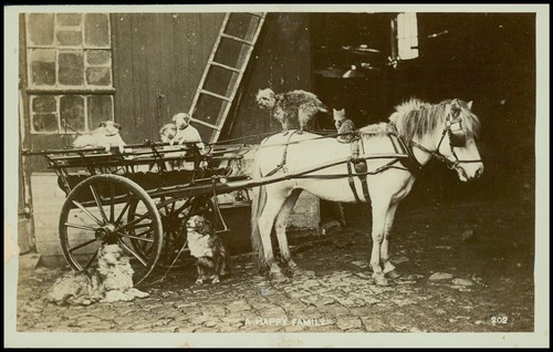 Animals horse and - animals:, cart