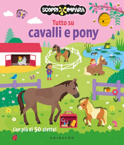 Tutto cavalli pony - cavalli,