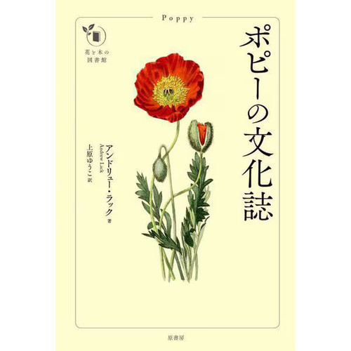Flower tree library poppy s - &,