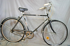 1970 Sears Cruiser Bike