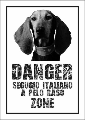 Cartello segnaletico segugio - segnaletico,