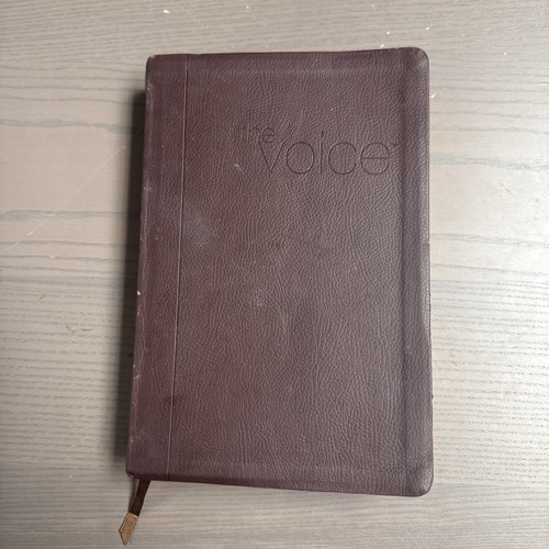 The voice bible step into - the,