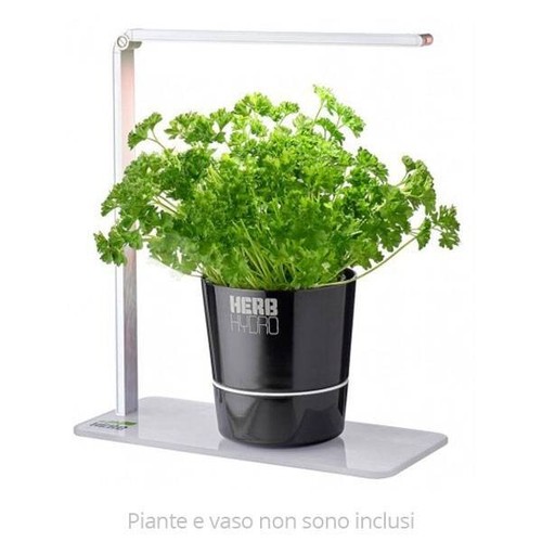 Herb booster lampada - -,