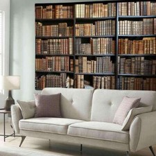 Libreria divertente extra
