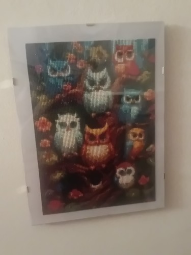 Quadro 30x40 gufi - quadro,
