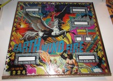 Vetro posteriore del flipper
