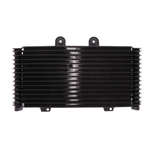 Radiatore olio per suzuki gsf - per,