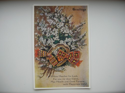 White heather for luck - white,