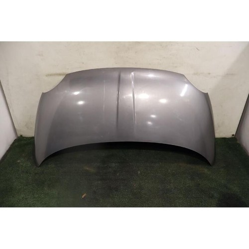 Cofano ant fiat 500 - ant.,