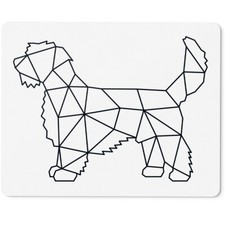 Petit Basset Griffon Vendéen