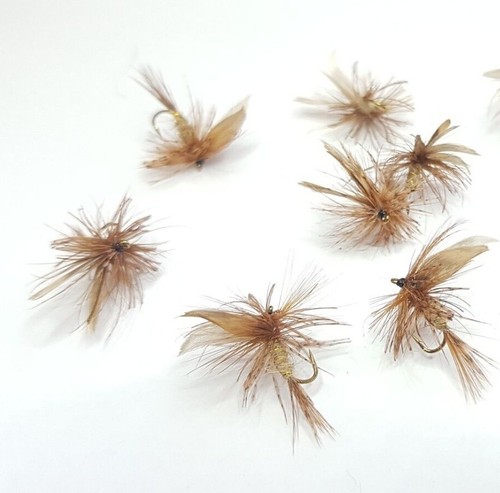 Mosche secche classiche march - classiche,