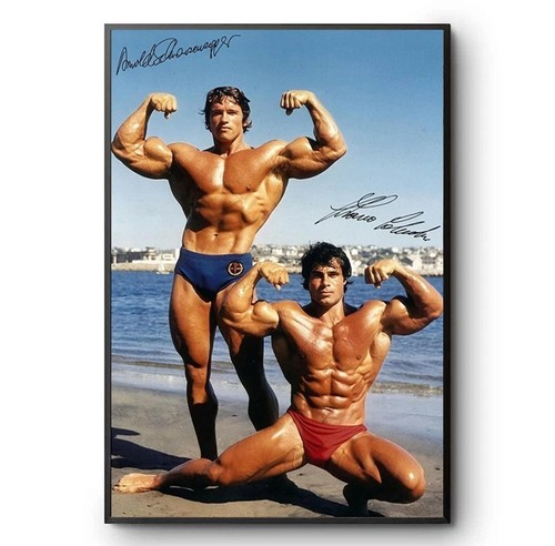 Poster bodybuilding arnold - bodybuilding,
