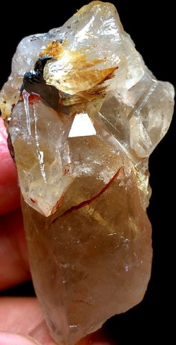 36g 1pz campione punta - 36g,