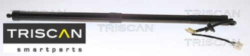 Triscan 871040301 molla gas - triscan,