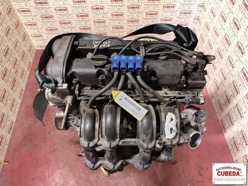 Motore ford fiesta 16v - ford,