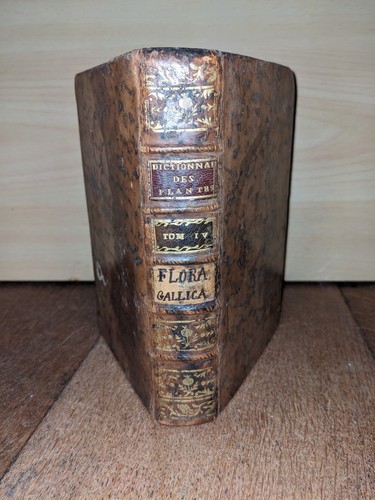 Libro antico dizionario - -,