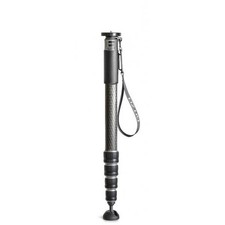 Gitzo GM4552L monopiede per