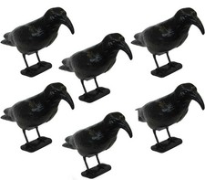 OFFERTA 6 STATUE DISSUASORE