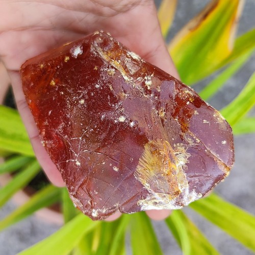Ambra gialla dominicana