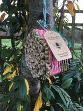 insetto, insetto, hotel delle