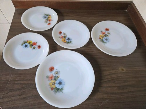 Arcopal france dessert 2 - france,