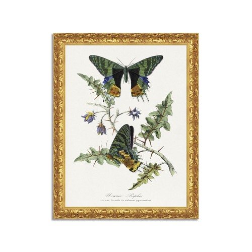 Quadro stampa tela effetto - tela,