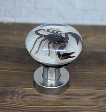 Pomello subacqueo vero scorpione scorpione PORTA resina acrilica_v50