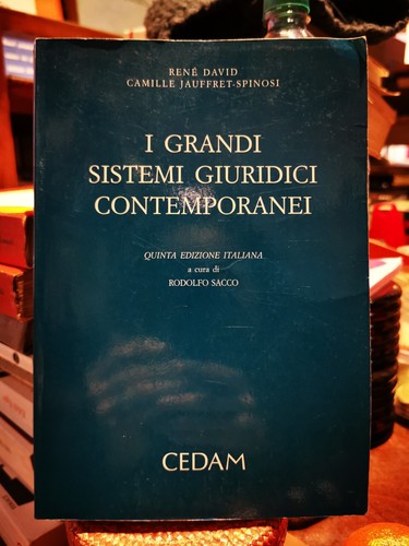 Rene david i grandi sistemi - rene',