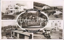 Belfast Bellevue Gardens RPPC