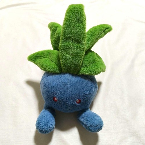 Oggetto peluche pokemon strano - pokemon,