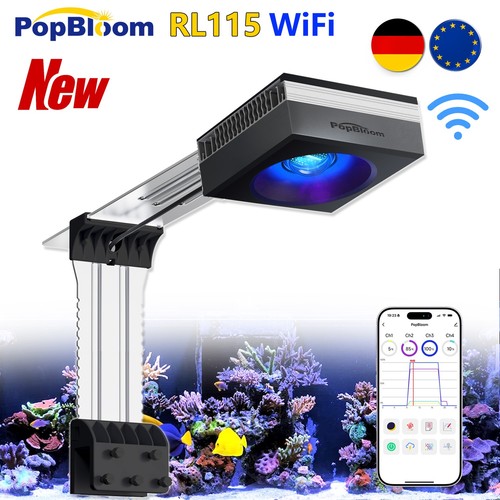 Popbloom rl115 wifi - wifi, di
