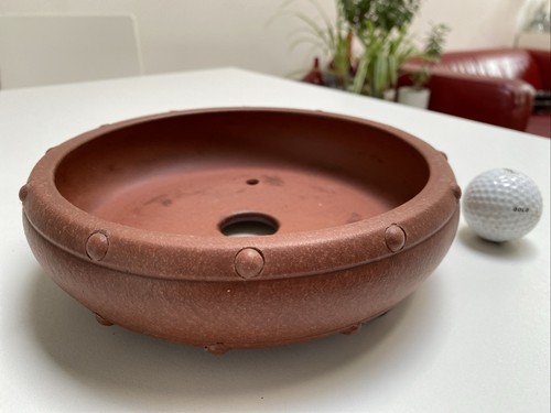 Vaso bonsai nuovo borchiato