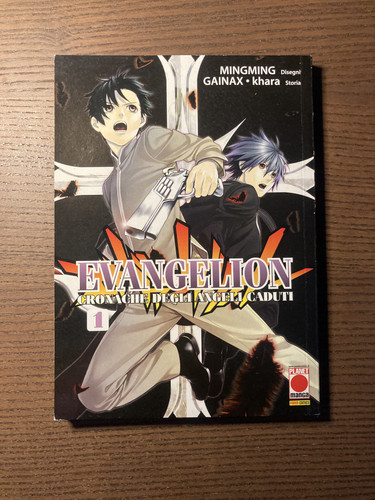 Evangelion cronache degli - evangelion,