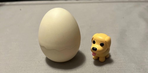 Adopt mystery pets you - mystery,