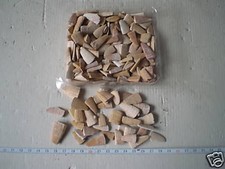 Dente pesce sega - pesce,