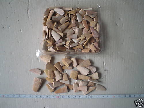 Dente pesce sega - pesce,