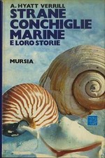 Strane conchiglie marine e le