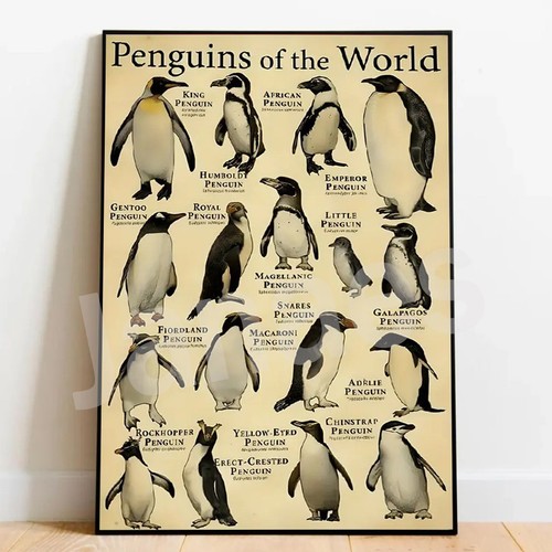 Poster pinguino vintage - poster,