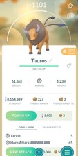 Pokemon Tauros Trade x10