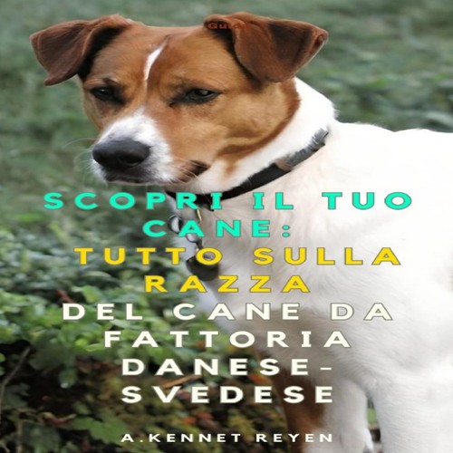 Scopri tuo cane tutto - tuo, sulla