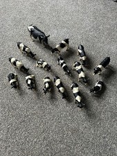 Lotto lavoro mucche in