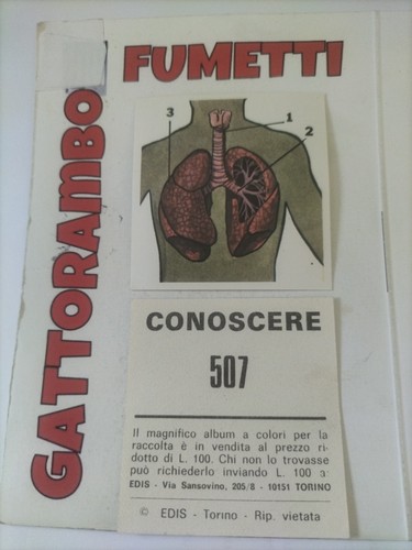 Figurine didattiche conoscere - didattiche,