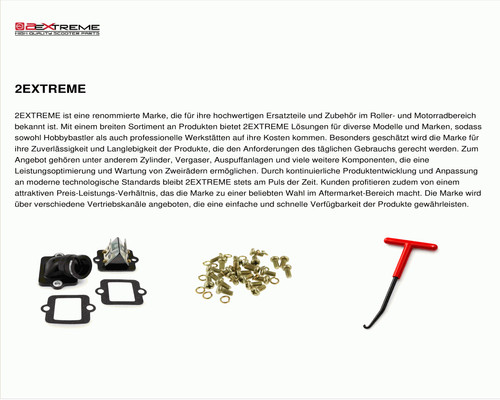 Kit revisione piccolo 50cc - revisione,