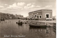 GALLIPOLI  -  Ristorante