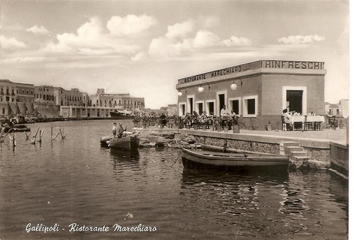 Gallipoli ristorante - ,